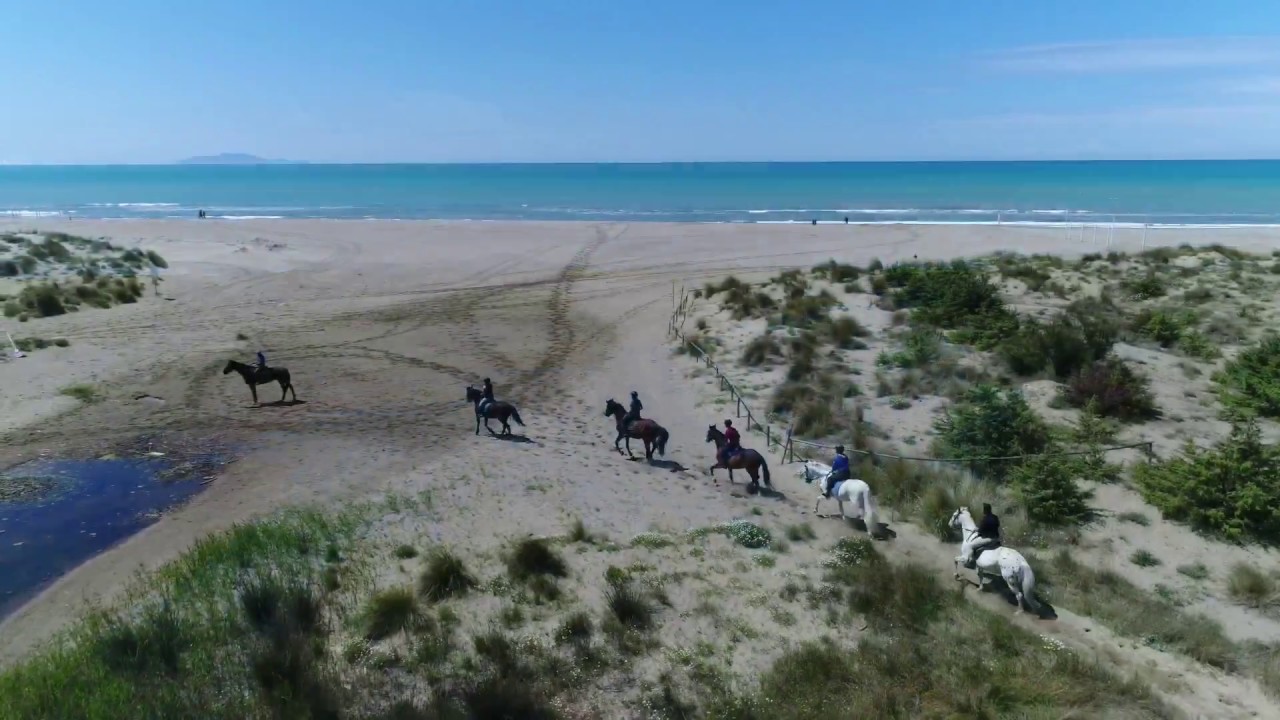 Trekking a cavallo in riva al mare | maremma toscana Castiglione della Pescaia