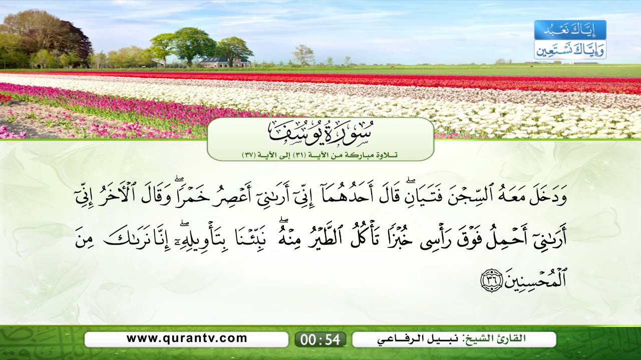 سورة يوسف | تلاوة مباركة من الآية 31 إلى الآية 37 | بصوت القارئ الشيخ نبيل الرفاعي