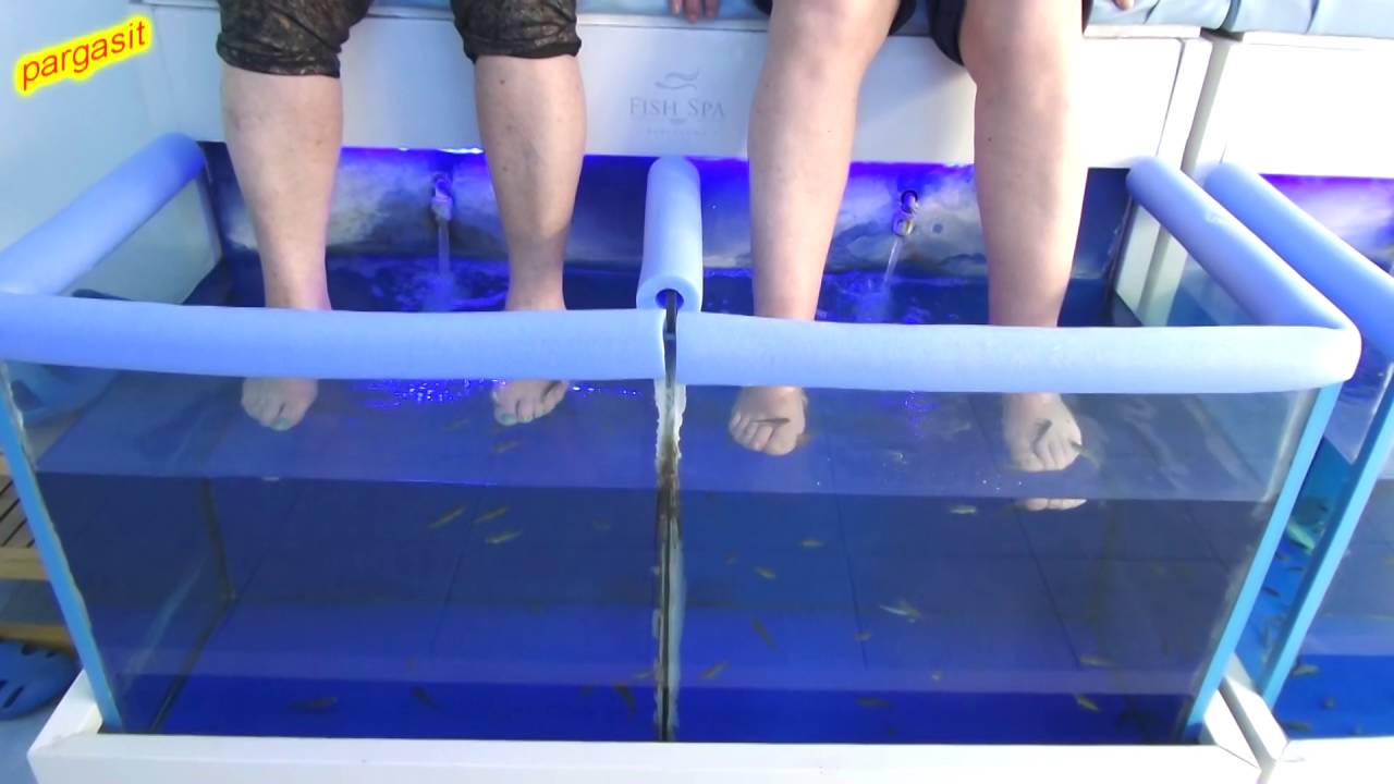 Fish-Foot-Spa i Torremolinos, Spanien 10.5.2016