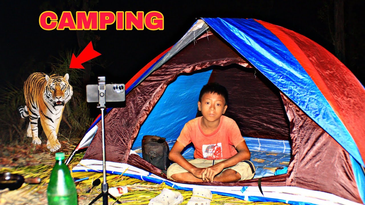 Night Camping in jungle || camping video || hol l night camping in jungle 🏕️ #campping