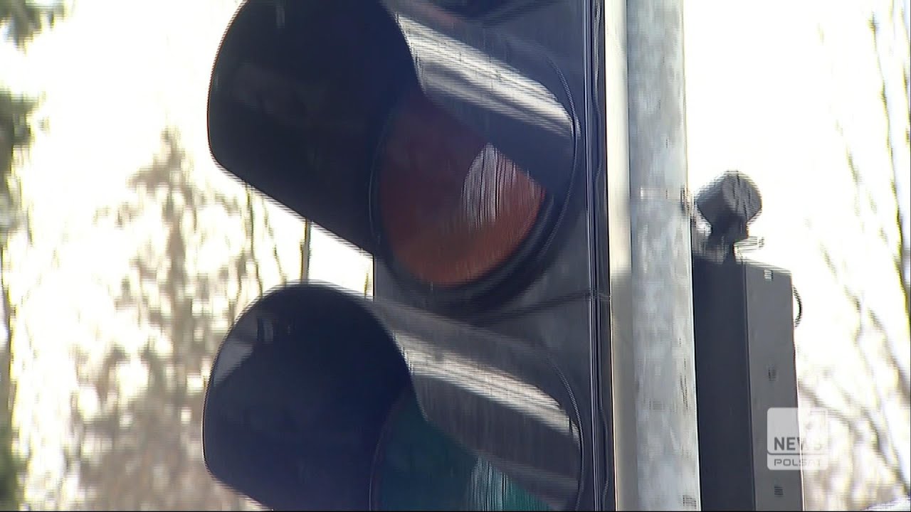 Światła wśr&oacute;d drzew. Sygnalizacja stanęła... pośrodku lasu