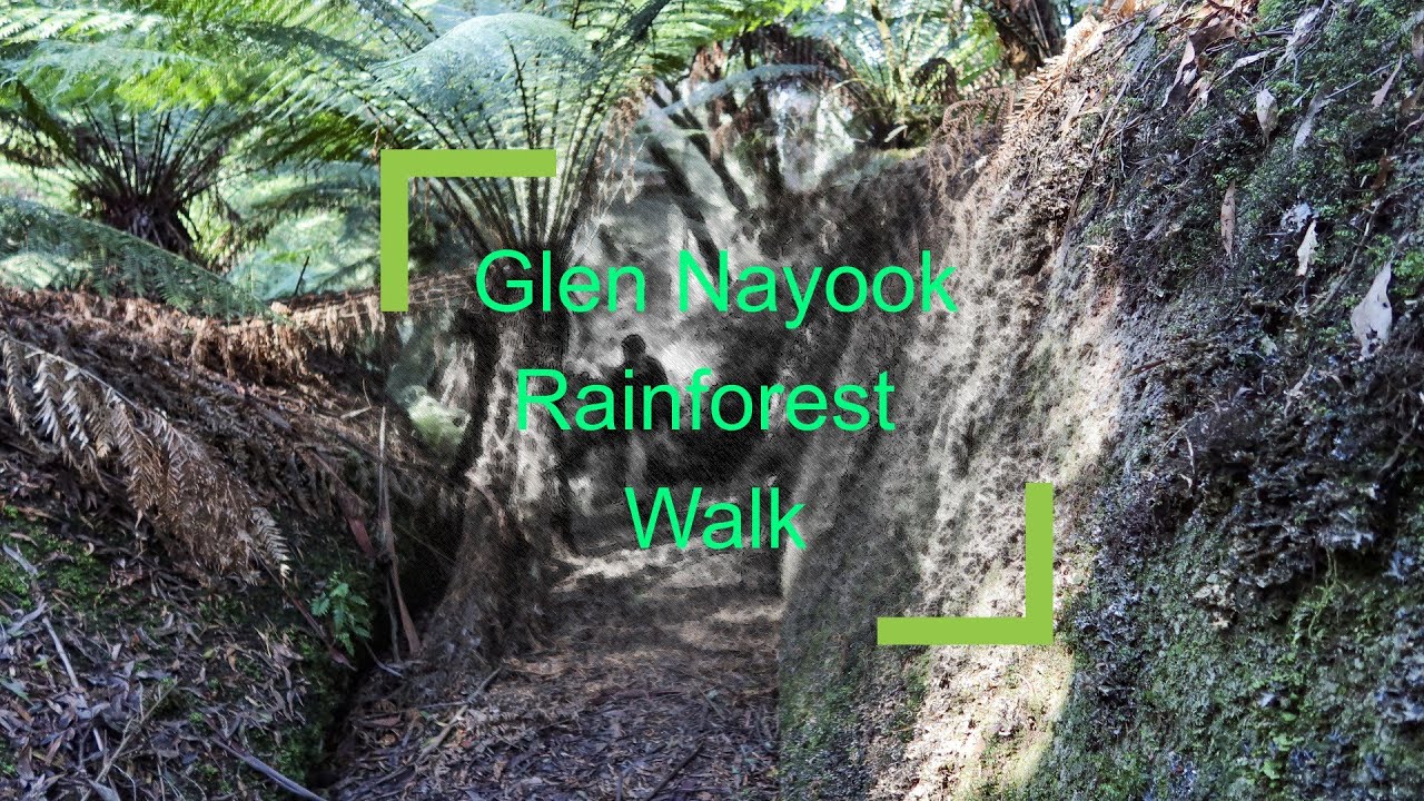 Glen Nayook Nature Reserve