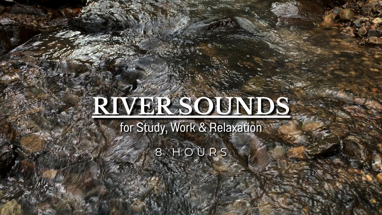 River Sounds with Birds for Sleeping, Gentle Forest Ambience to Help You Relax and Fall Asleep