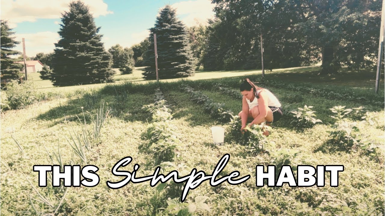 Biblical Homemaking (Can This Easy Habit Really Change Your Home?)