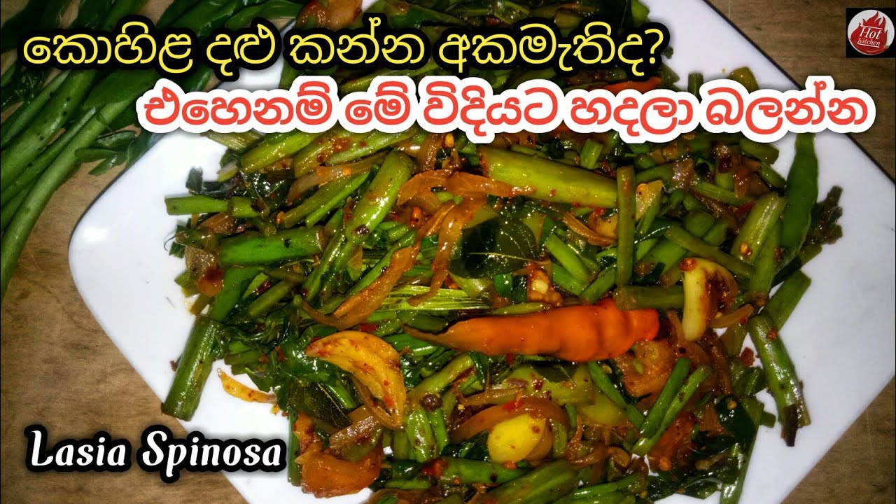 බඩ පිරෙන්න බත් කන්න කොහිළ දළු මෙහෙම හදන්න| kohila dalu recipe| Lasia spinosa| kohila dalu themparadu