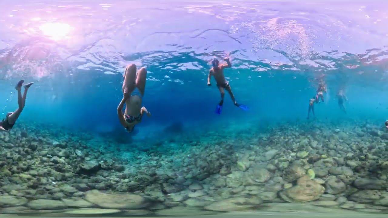 Best Underwater Moments | Mediterranean Highlights VR360