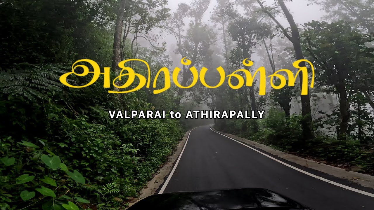 Valparai to Athirapally FOREST ROUTE | Complete Travel Guide | Tamil Vlog