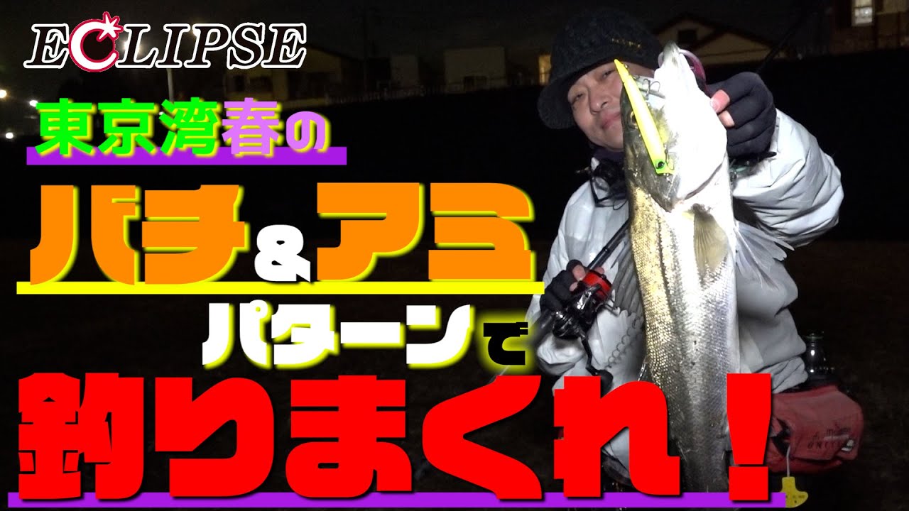 【東京湾 春のバチ＆アミパターン！】 東京湾奥！春の2大パターン・バチ＆アミパターンを攻略せよ！！