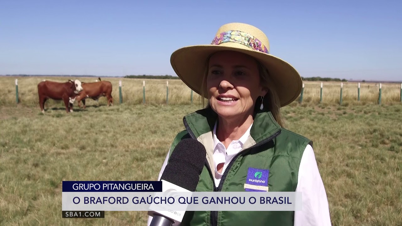 BRAFORD PARA O BRASIL