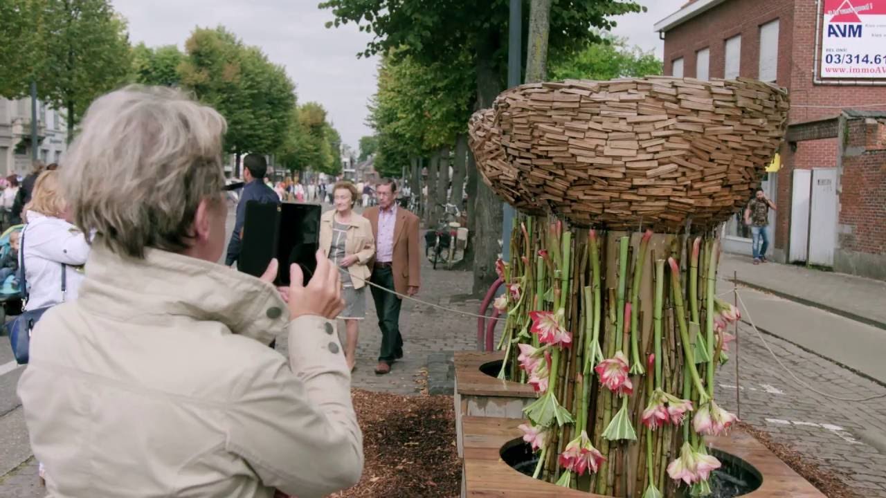 Hoogstraten in groenten & bloemen 2016