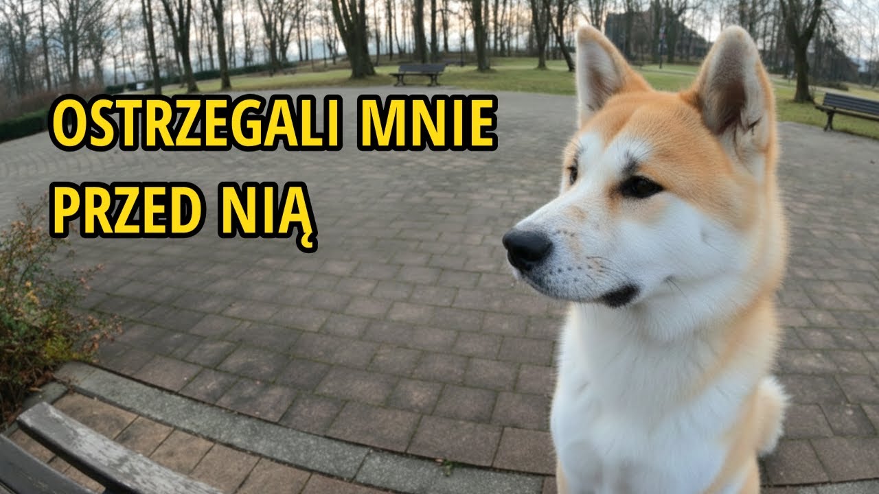 M&oacute;wili, że Akita to BŁĄD. Po 15 miesiącach już wiem...