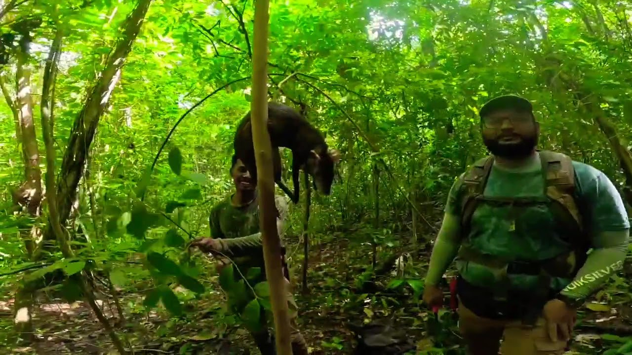 Hunting Agouti Trinidad and Tobago 2025/2026Season  22/12/25