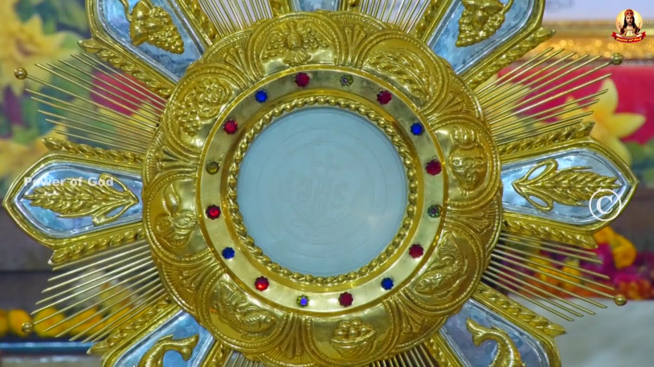 🟢✠ வாருங்கள் ஆண்டவரையே தொழுவோம்  26 February 2026    #Adoration #nightprayer
