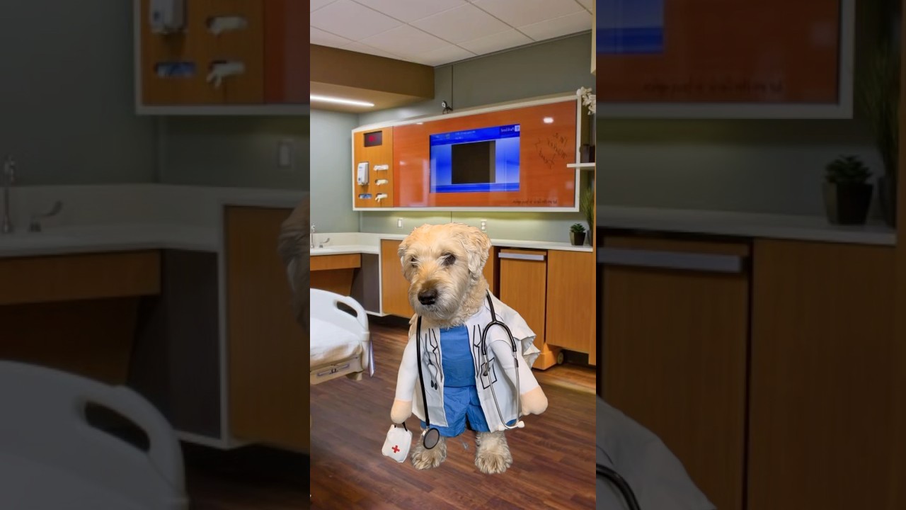 The Coma Joke 🐶 @TheJessiiShow #TheManniiShow.com/series