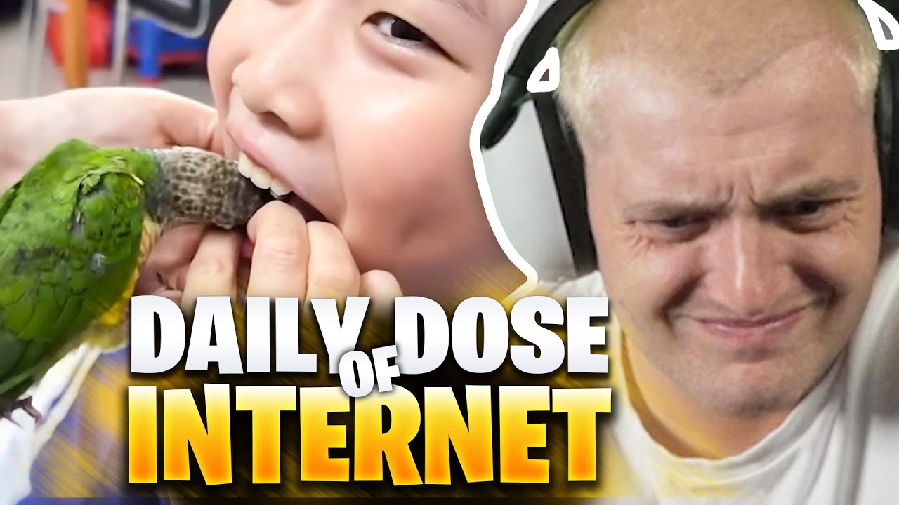 🤯😰Einfach ein VOGEL als ZAHNARZT! - Daily DOSE REAKTION | Trymacs Stream Highlights