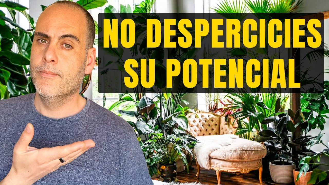 10 razones que no sab&iacute;as para tener plantas en casa