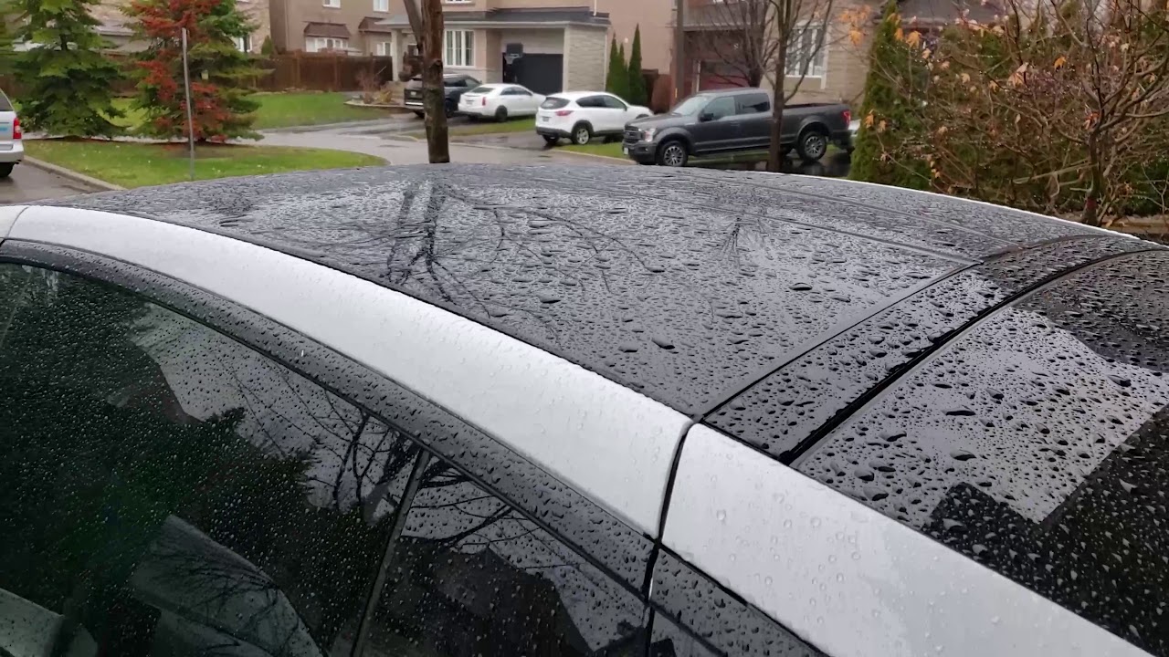 Model X Falcon Wing Doors in the rain (standing water on the roof).