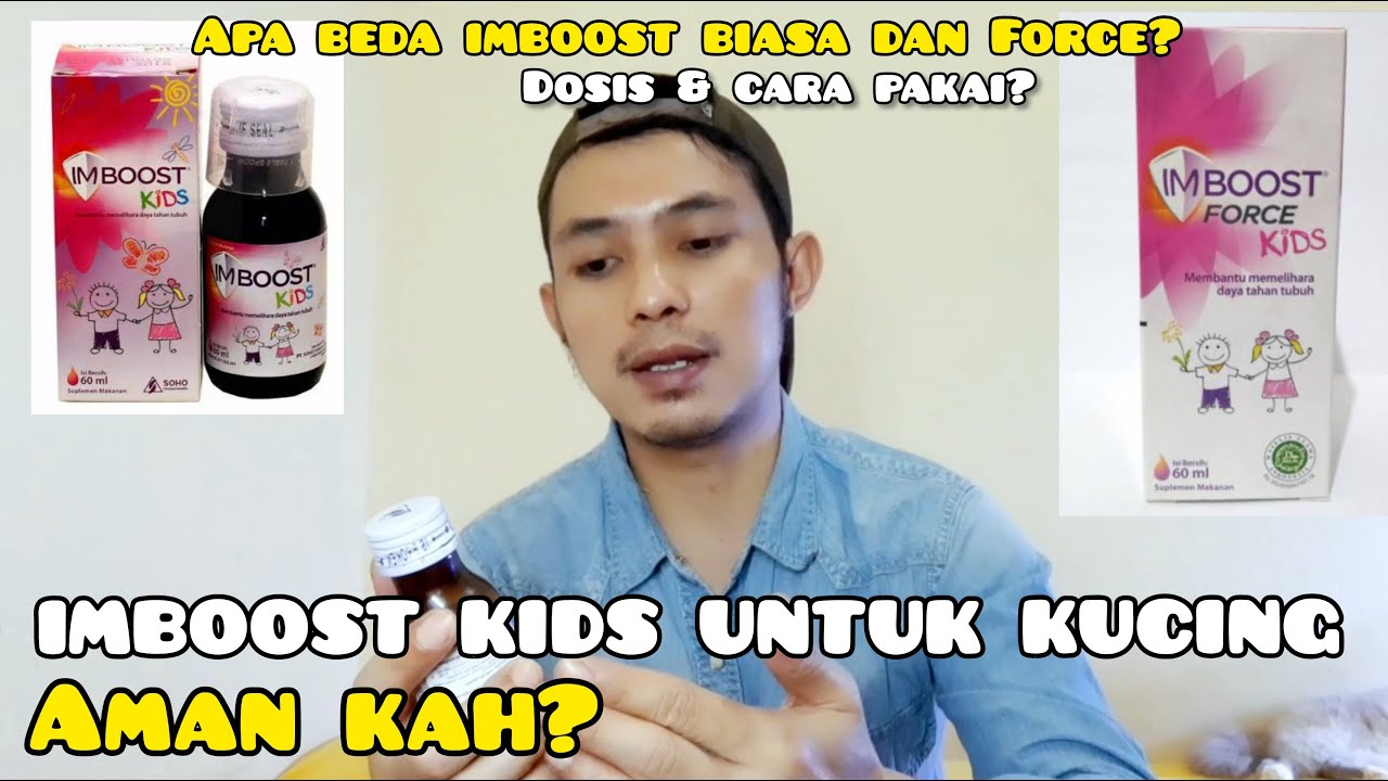 VITAMIN UNTUK KUCING | IMBOOST KIDS UNTUK KUCING | MANFAAT IMBOOST UNTUK KUCING