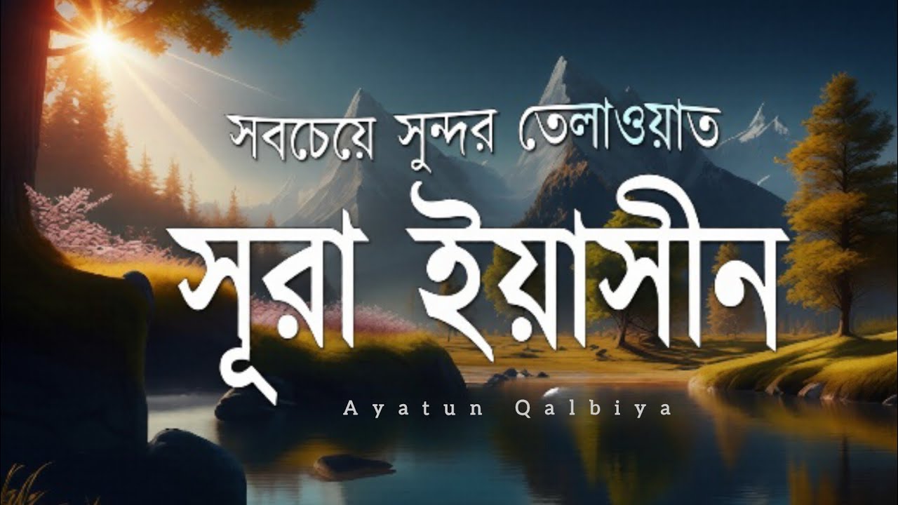 কপিরাইট ফ্রি সূরা ইয়াসিন মন জুড়ানো তেলাওয়াত | Copyright free Surah Yaseen Tilawat by Ayatun Qalbiya
