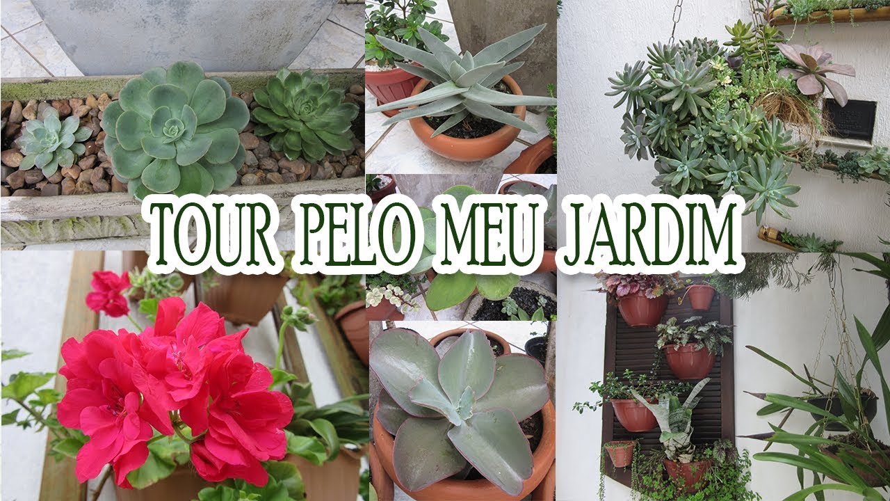 Vamos ver como o meu jardim está?