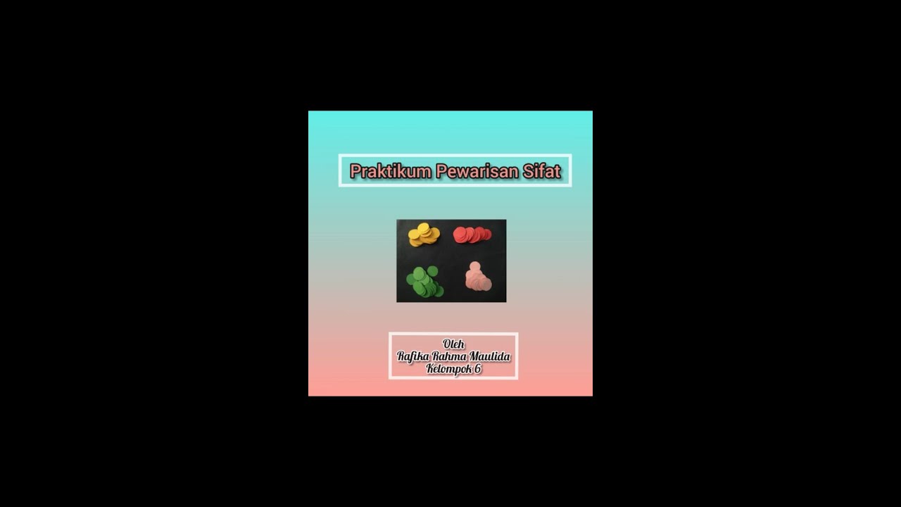 WOW SERU!!!! PRAKTIKUM MUDAH PEWARISAN SIFAT