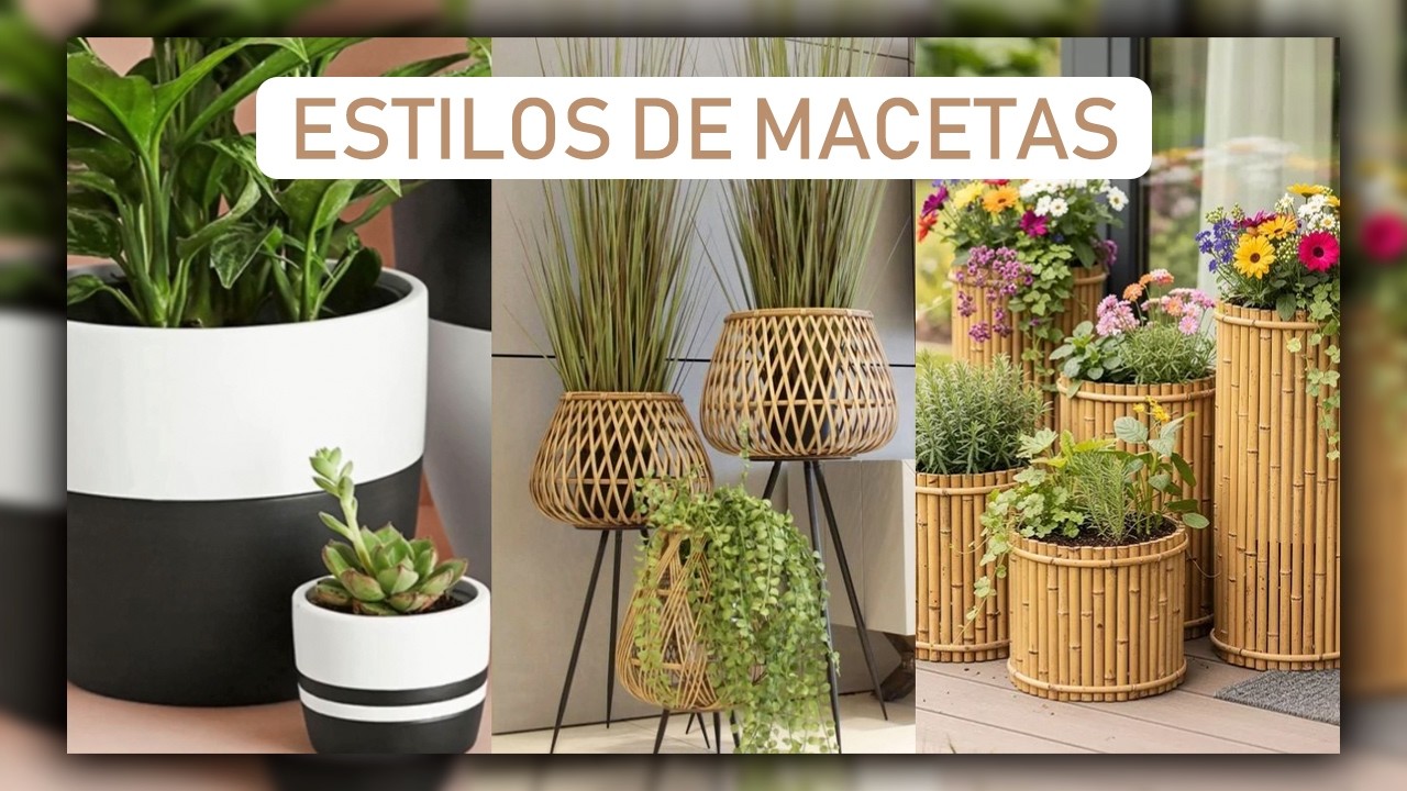 Diferentes ESTILOS de Macetas / Decoración y Sostenibilidad