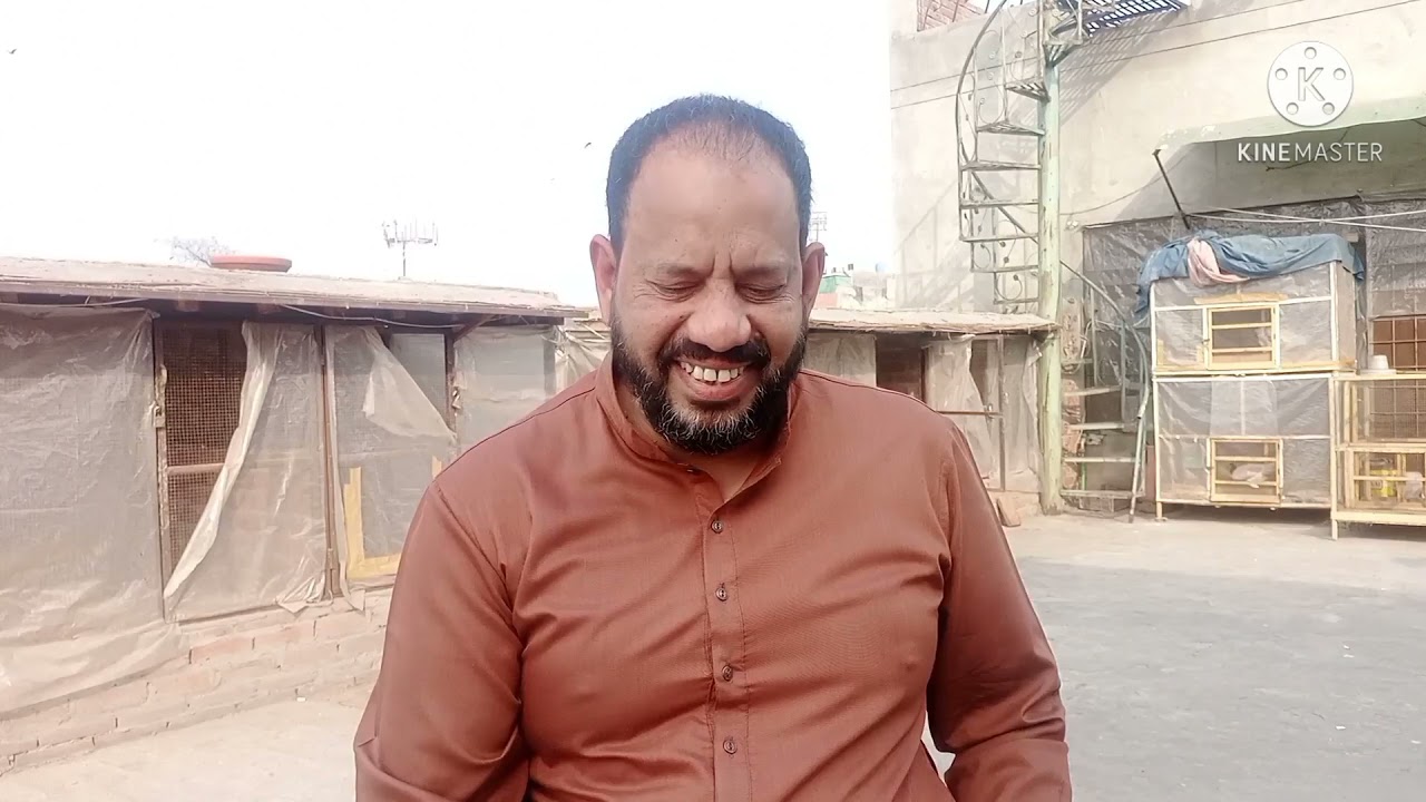 Pure Shamoo Setup In Lahore