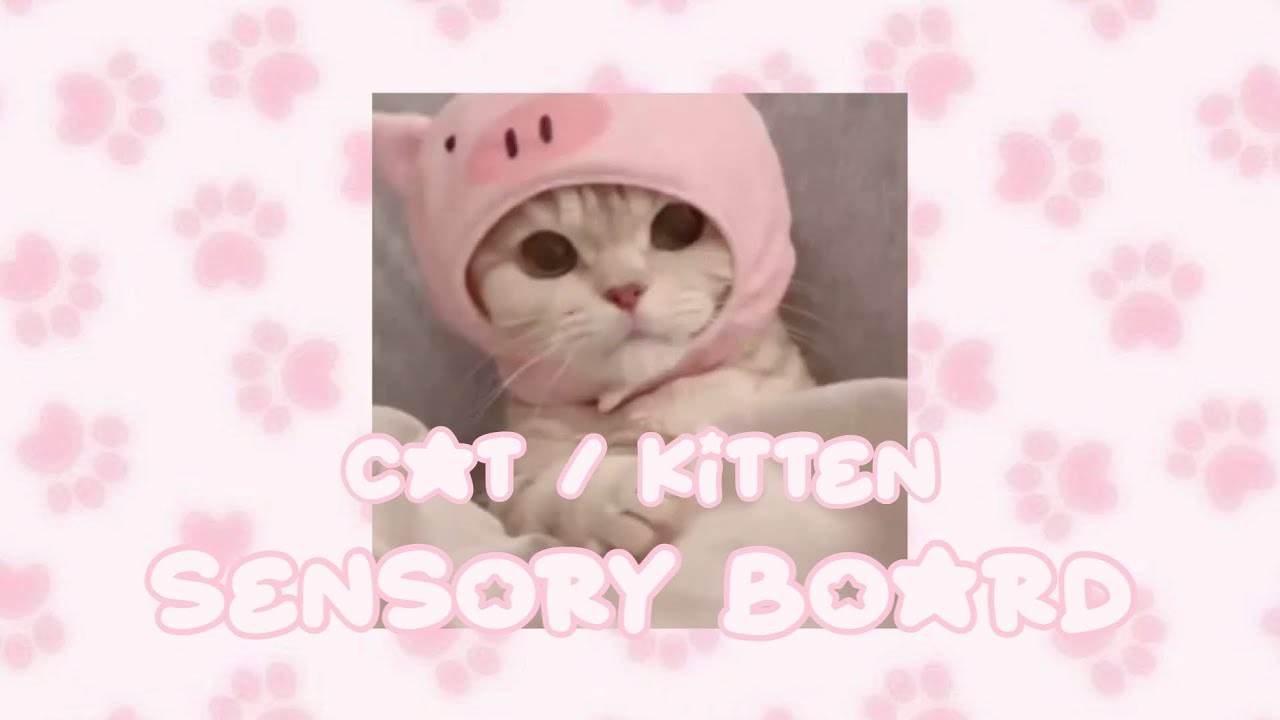 🐾🐱 CAT / KITTEN SENSORY STIMBOARD | sfw / safe 🍮🎀 | Sugary Cute