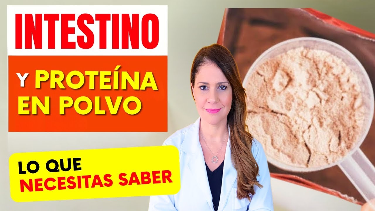 INTESTINO y PROTEÍNA EN POLVO (Whey, Suero, Albúmina, Vegetal) - ¡Lo que NECESITAS SABER!
