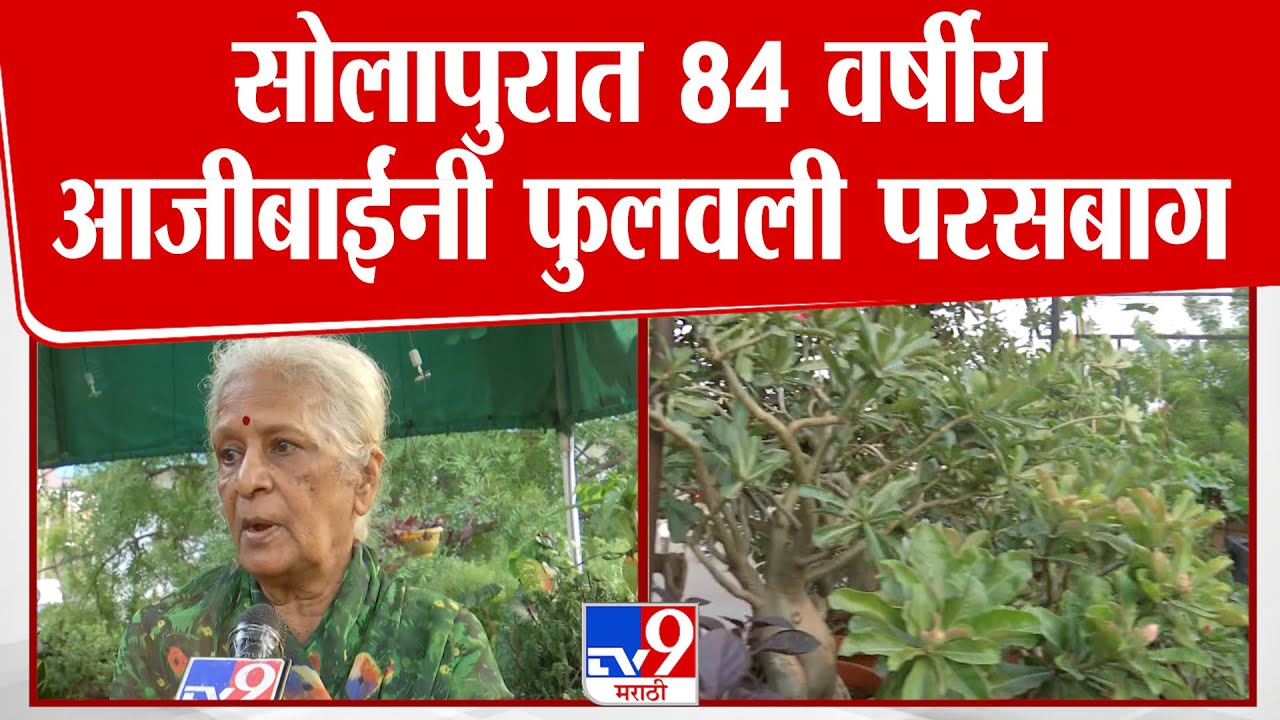 Solapur |  सोलापुरात 84 वर्षीय आजीबाईंनी फुलवली परसबाग