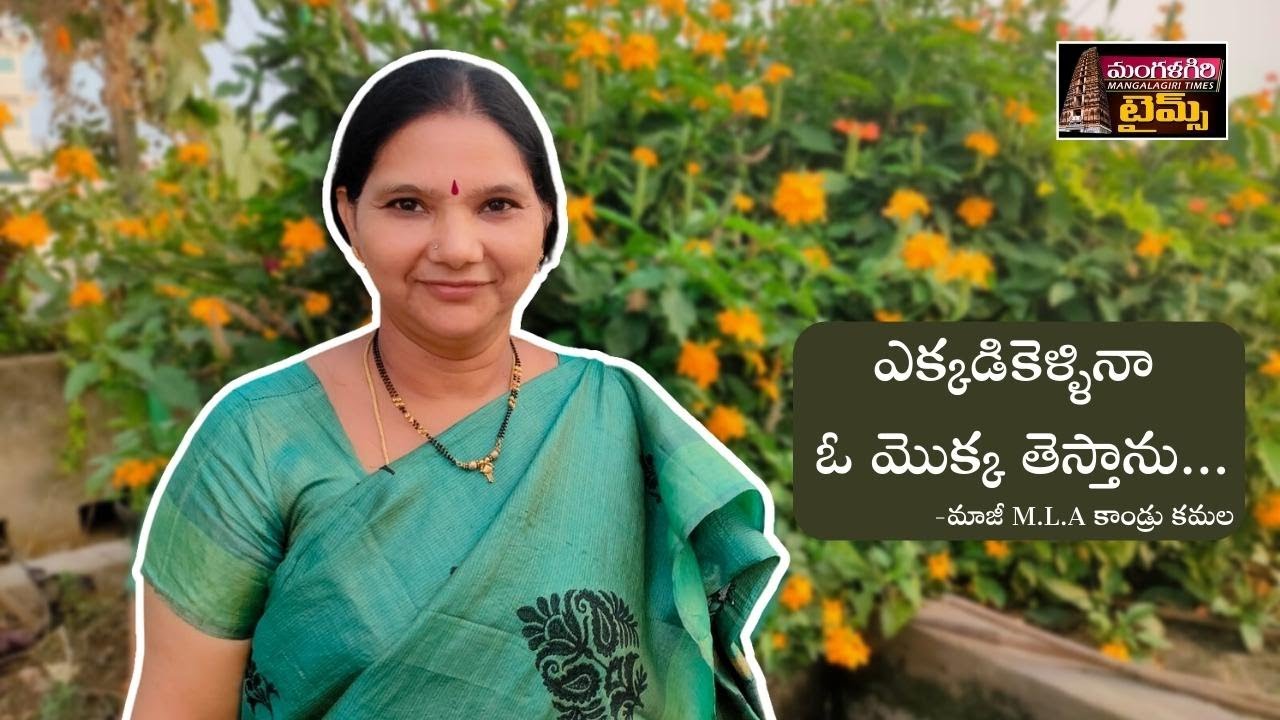 మాజీ M.L.A కాండ్రు కమల మిద్దె తోట పెంపకం.|| Ex MLA Kandru Kamala Terrace Garden || Mangalagiritimes.