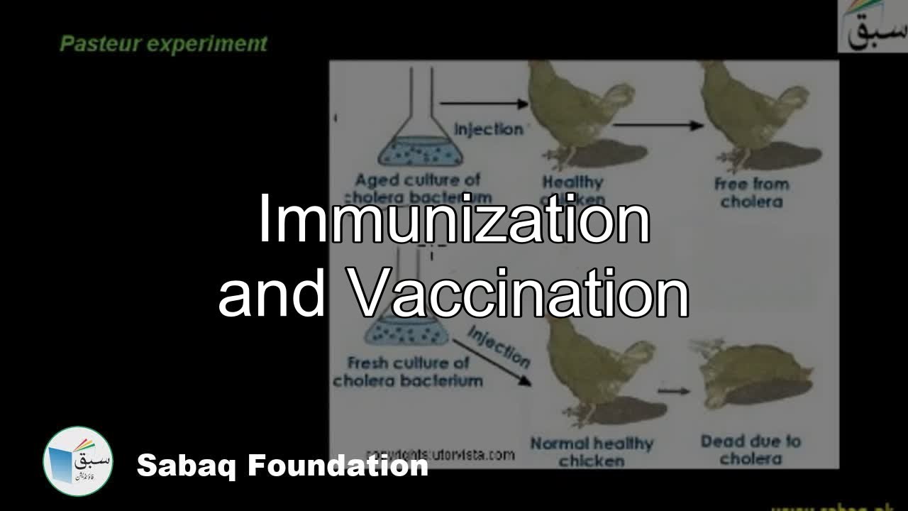 Immunization and Vaccination, Biology Lecture | Sabaq.pk
