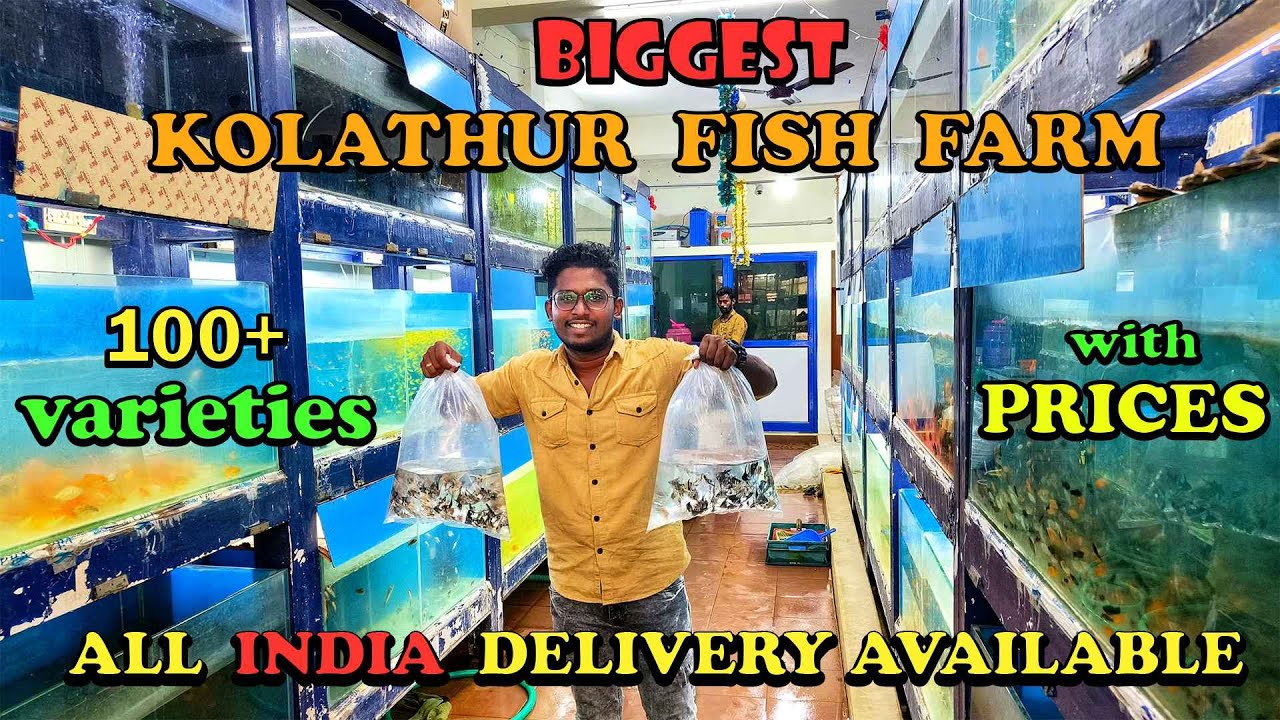 ரூ2 முதல் Fish varieties|biggest aqua farm|100+varieties|with price|farm visit|Xploring💫