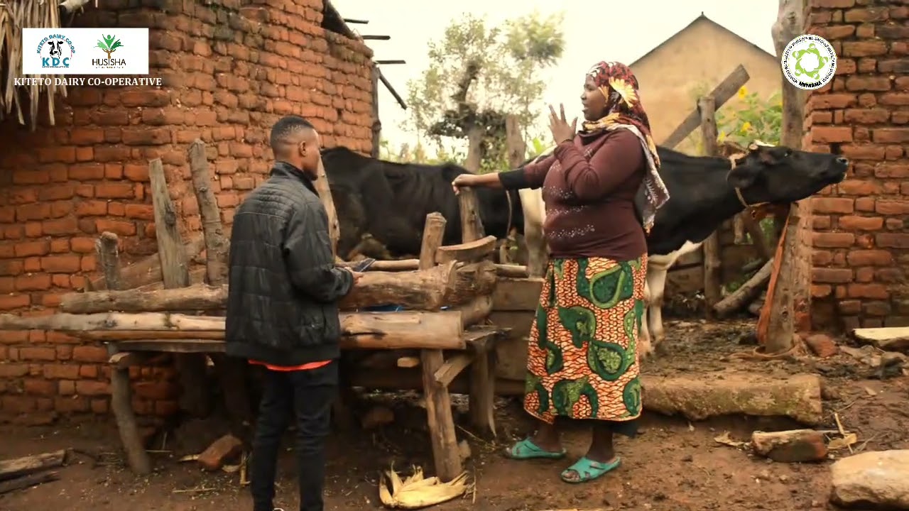 How Dairy Processing Is Transforming Pastoralist Lives in Kiteto.