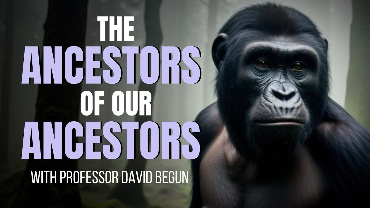 The Ancestors of Our Ancestors ~ with PROFESSOR DAVID BEGUN