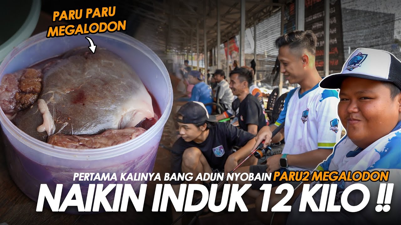 BANG ADUN NYOBAIN UMPAN PARU2 MEGALODON !! LANGSUNG TAKLUKIN BABON 12 KILO ?! || Am#631