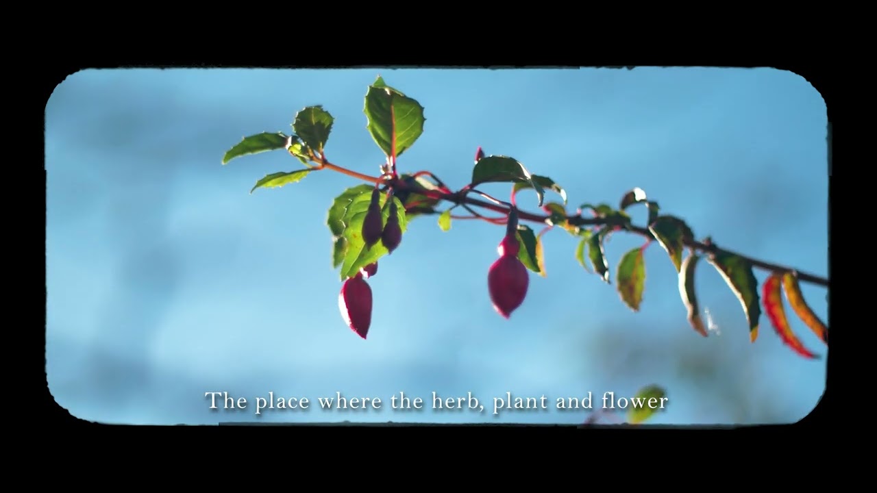 'Aalican' (Tranquility) by John Gell [English subtitles]
