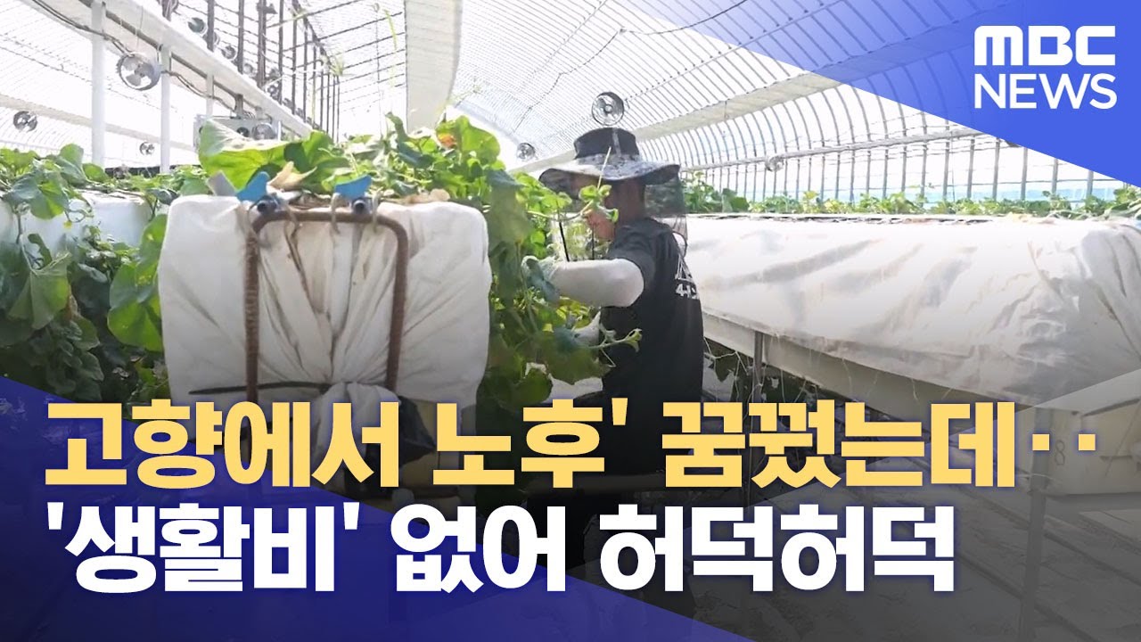 귀농, 농사만으론 버틸 수 없는 현실 (2025.10.12/뉴스데스크/목포MBC)