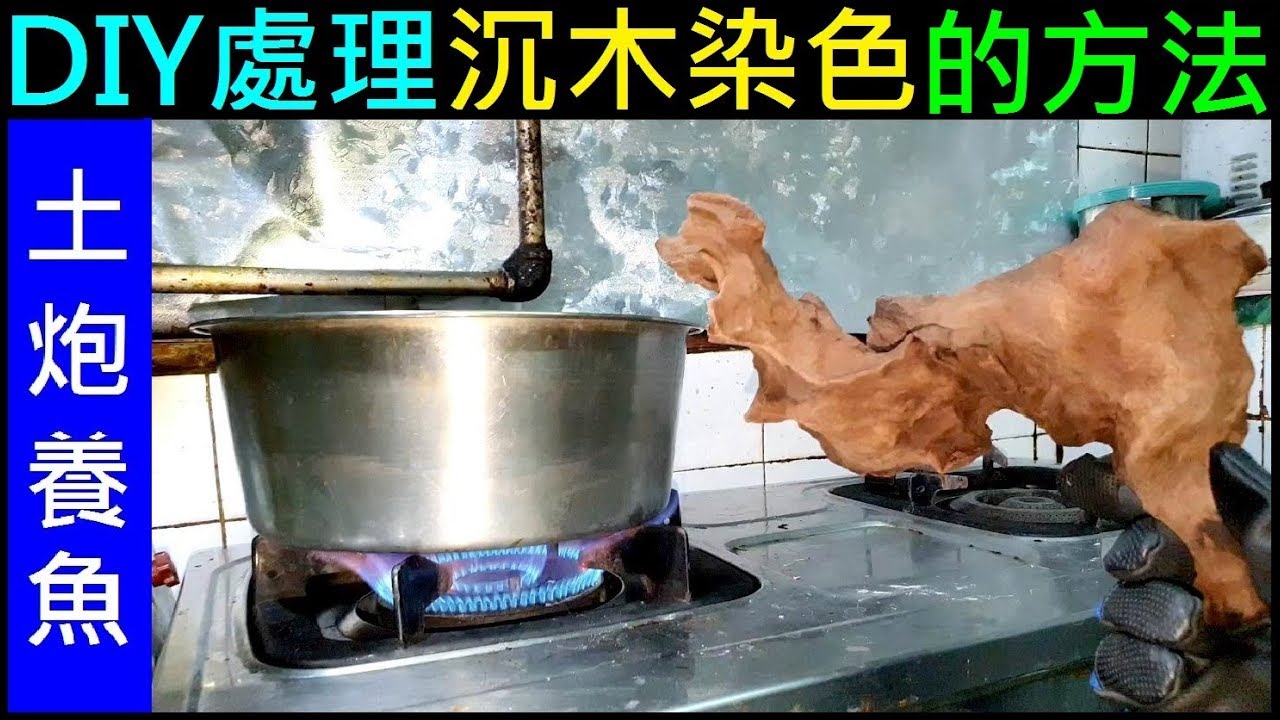 (土炮養魚EP7) DIY處理沉木染色的方法【熱水煮沉木真的能解決水變黃的問題嗎？】白同學實驗