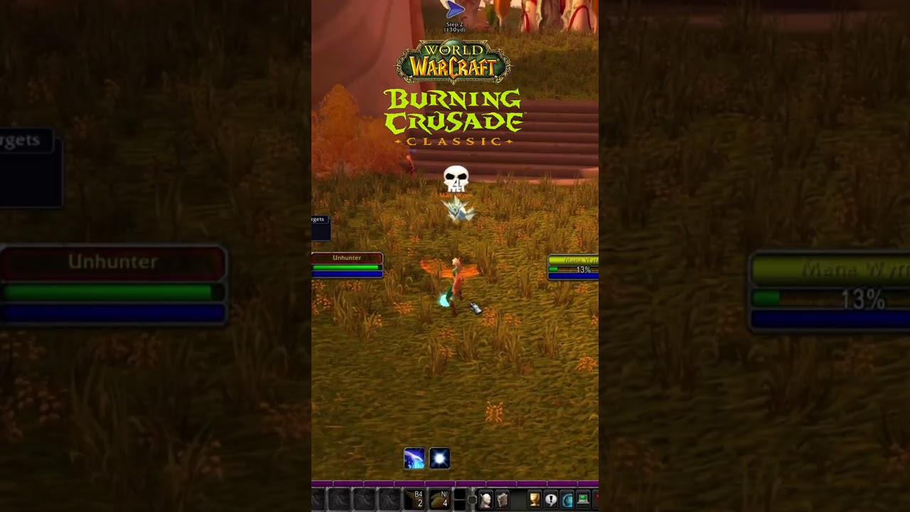WOW TBC CLASSIC HUNTER LEVELING