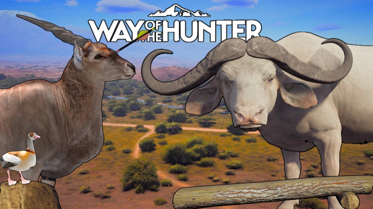 Albino Buffalo Aging Shenanigans! - Way of the Hunter -