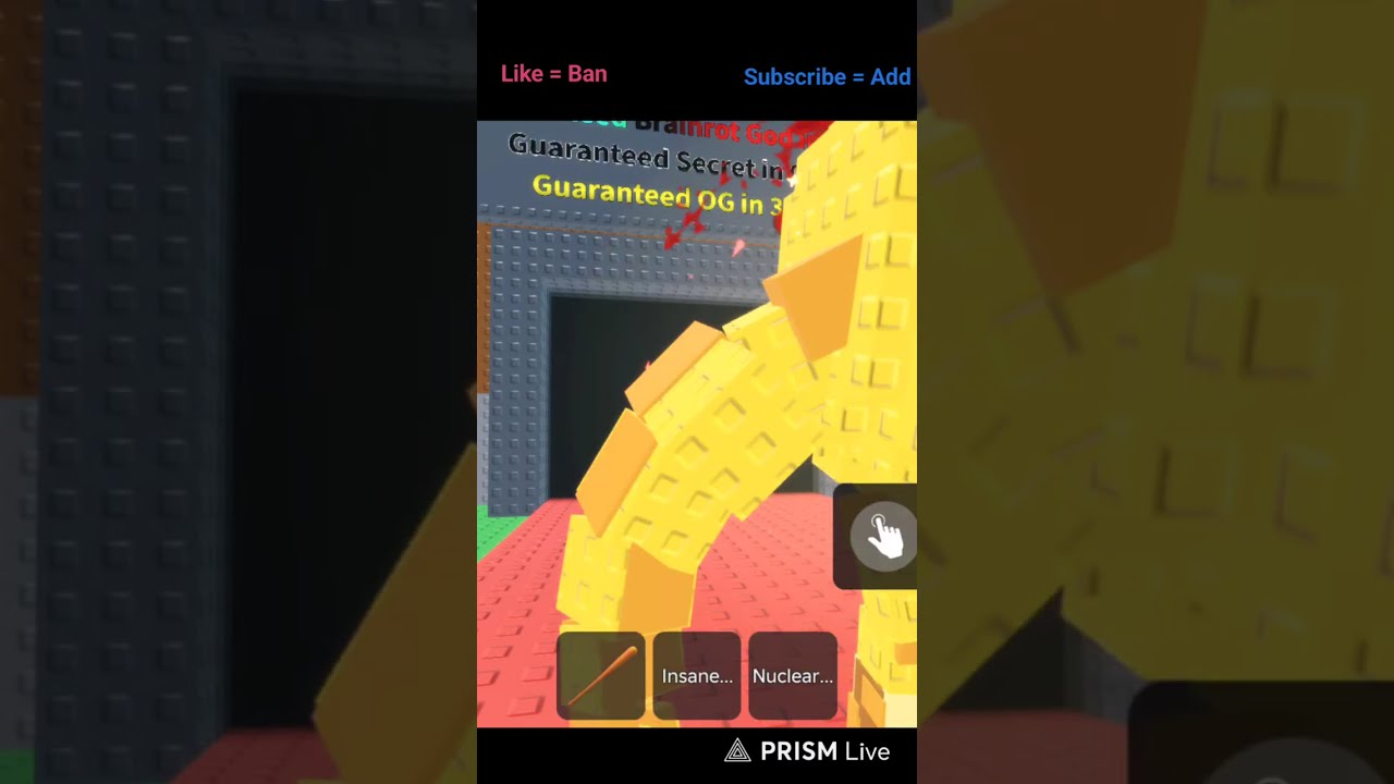 Taco Tuesday Steal A Brainrot | Roblox  