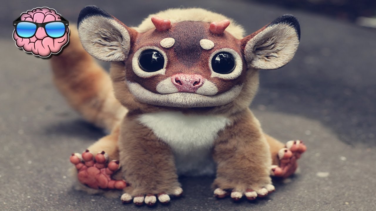 10 Mythical Creatures That PROBABLY EXISTED