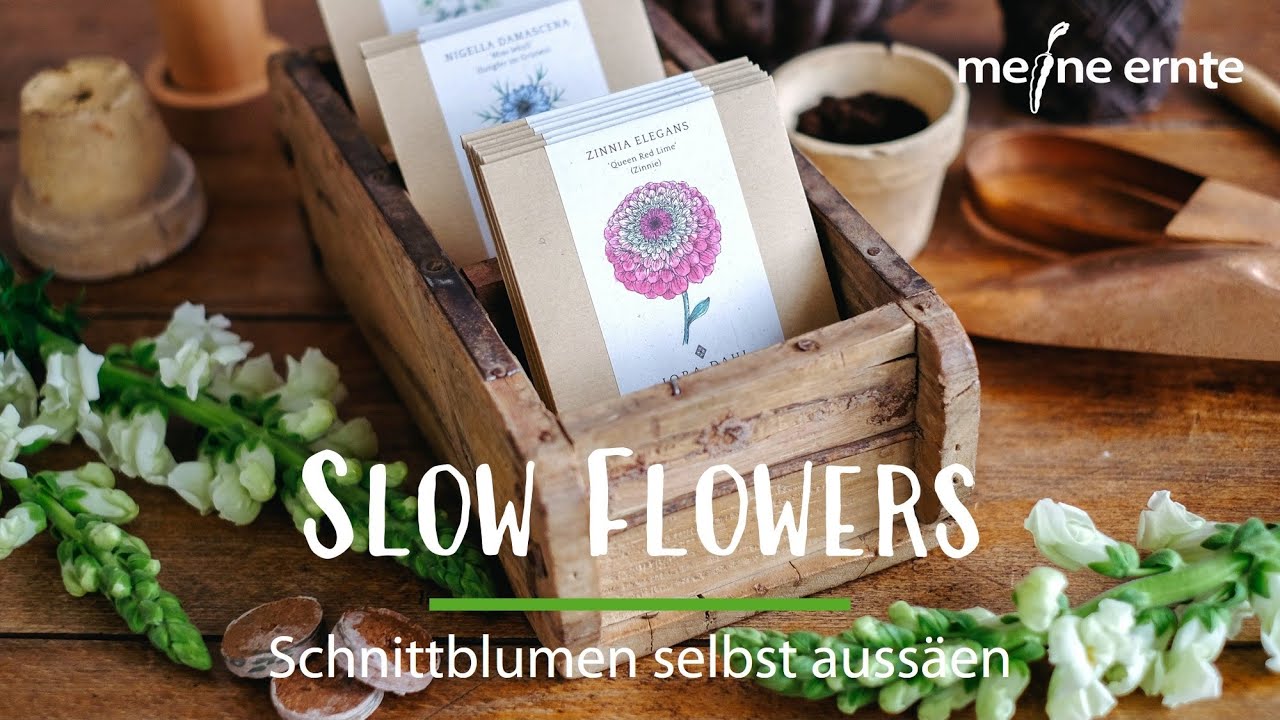 Slow Flower - Schnittblumen auss&auml;en