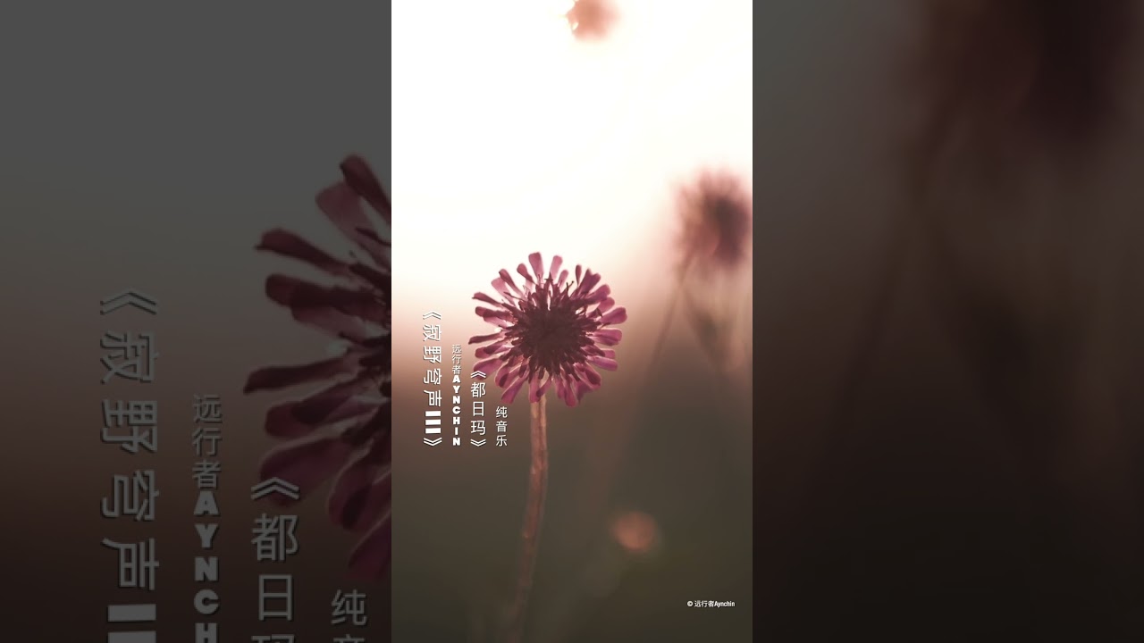 Dorima | Mongolian Instrumental