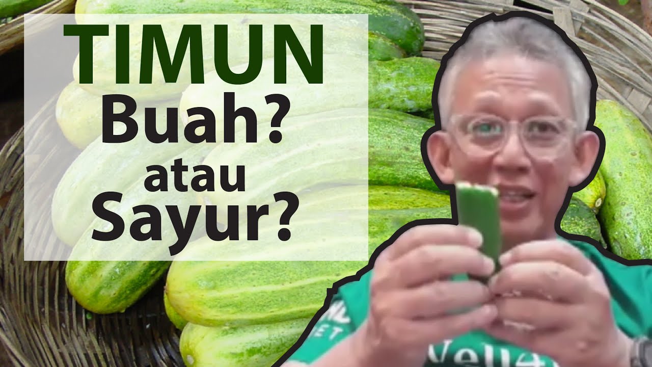 TIMUN! Buah? atau Sayur?, 20 MANFAAT TIMUN yang terbaik | Dr. Noordin Darus