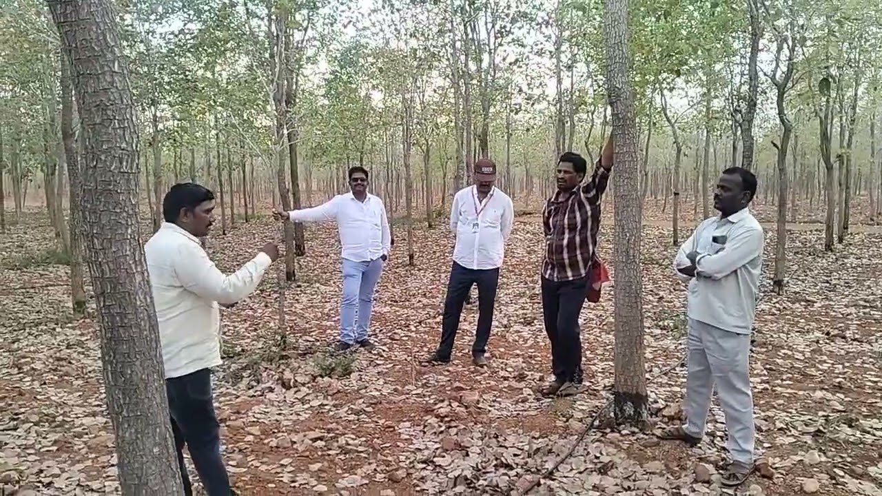 రెండు ఆదాయాలు ఎర్ర చందనం చెట్లు, భూమి విలువ | మీరు కోటీశ్వర్లు అవుతారు ? | Call To 9701227460