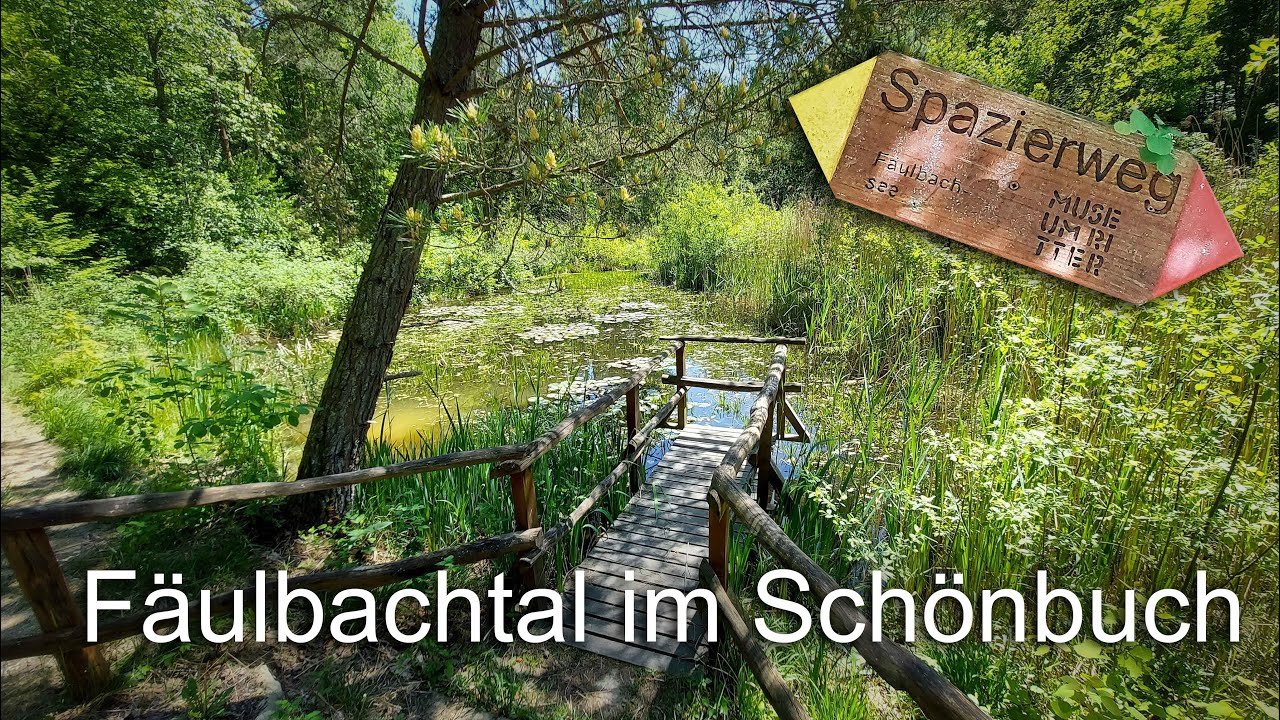 Fäulbachtal zwischen Weil im Schönbuch & Waldenbuch