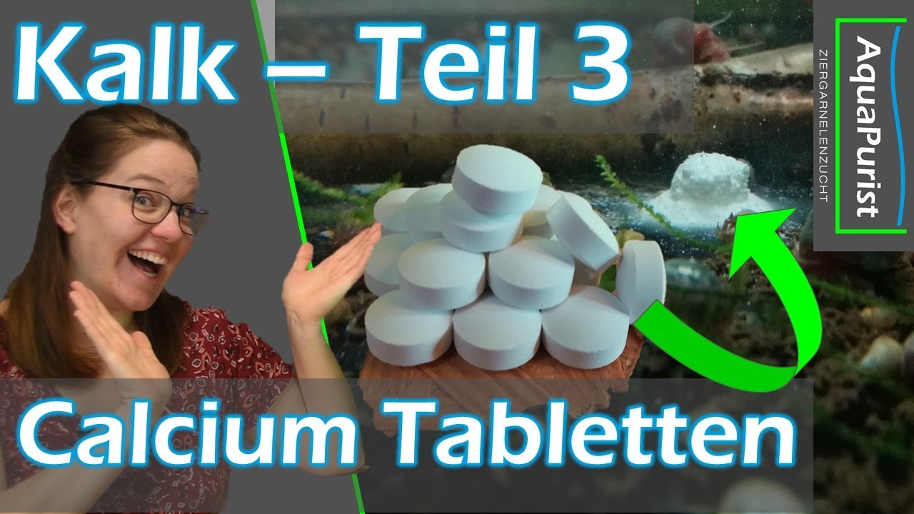 Calcium Tabletten - Kalk für die Schnecken Teil 3 - Update zu Eierschalen & Sepias + Outtakes