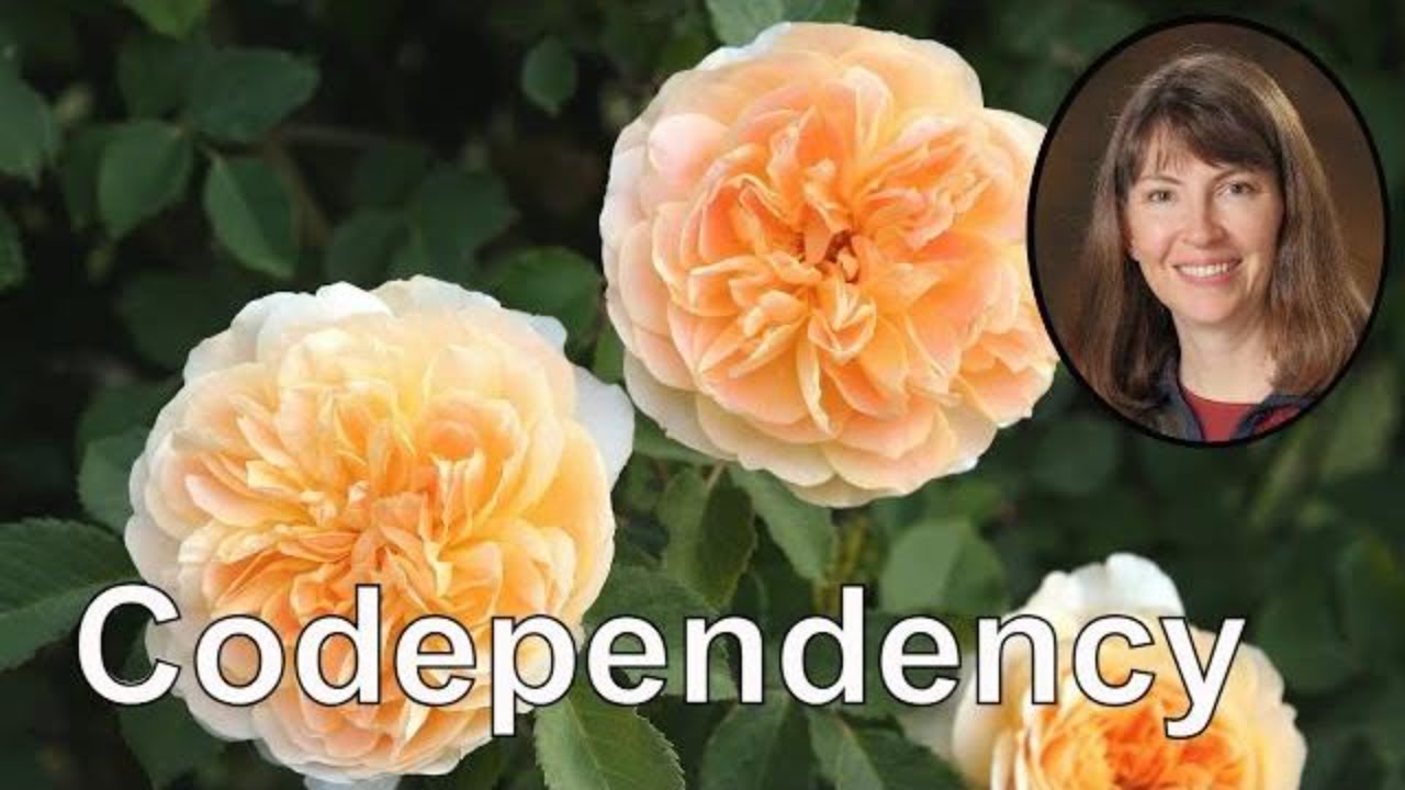 Codependency Meditation for Healing (Guided Imagery)